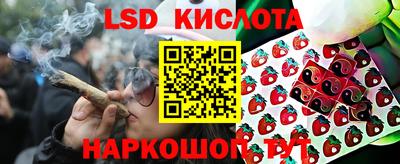 spice Ирбит