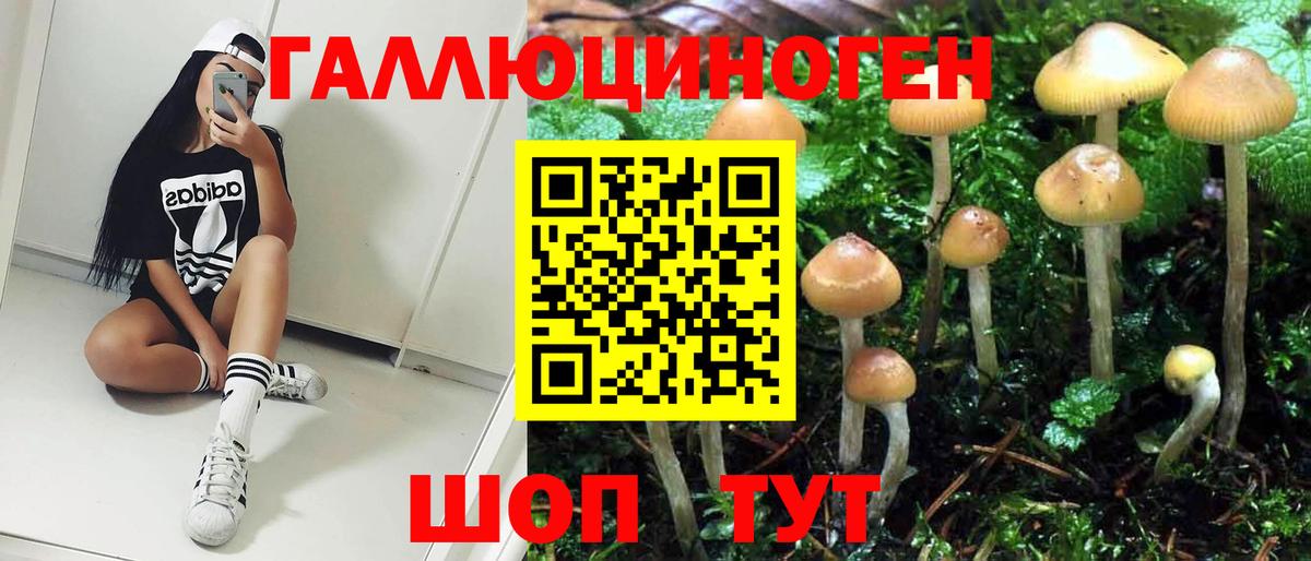 Псилоцибиновые грибы Cubensis Надым